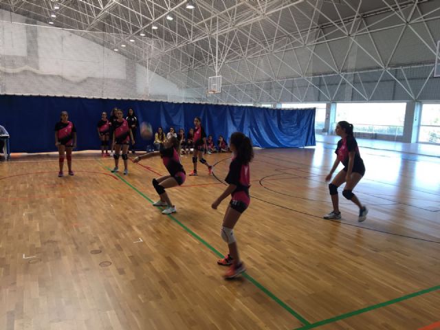 Completísima jornada de base gracias al IV Memorial Beatriz Rodríguez Llopis de Voleibol celebrado este domingo - 2, Foto 2