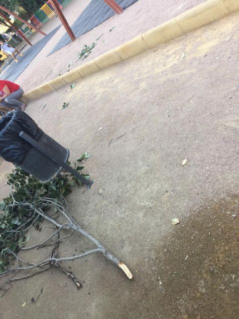 IU-Lorca alerta sobre la caída de ramas en varios puntos de Lorca - 1, Foto 1