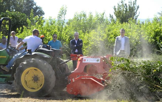 Comienzan a triturar los restos de poda de los huertanos para reducir las quemas agrícolas dentro de la estrategia Aire Limpio - 1, Foto 1