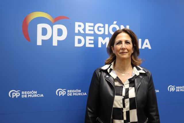 Borrego: El PP propone bajar la factura eléctrica de las actividades estacionales: agricultura, ganadería, turismo, industria, y el PSOE lo veta sin argumentos - 1, Foto 1