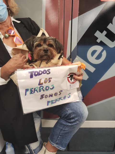 Unos 2000 animalistas se manifiestan este sábado para pedir una ley de protección animal que incluya a los perros de caza - 5, Foto 5