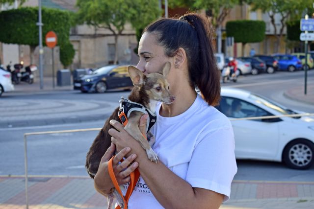 Las Torres de Cotillas se muestra firme contra el maltrato animal - 3, Foto 3
