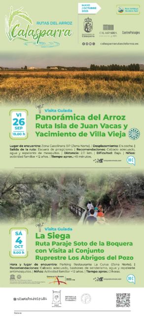 Los paisajes del arroz dan la bienvenida al otoño en Calasparra - 3, Foto 3