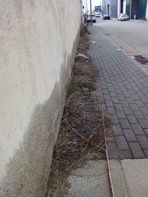 IU-Verdes Lorca pide una actuación integral en el polígono de Los Peñones - 5, Foto 5