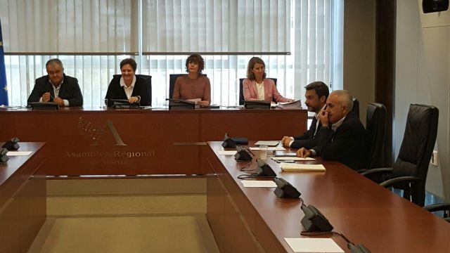 Podemos apoya un plan plurianual de inversión en la red de agua potable de Totana - 1, Foto 1