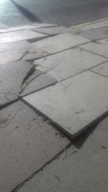 IU-Verdes denuncia que el Ayuntamiento solo tiene tres operarios en plantilla para su servicio de mantenimiento de calles - 1, Foto 1