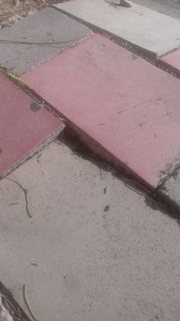 IU-Verdes denuncia que el Ayuntamiento solo tiene tres operarios en plantilla para su servicio de mantenimiento de calles - 2, Foto 2