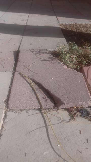 IU-Verdes denuncia que el Ayuntamiento solo tiene tres operarios en plantilla para su servicio de mantenimiento de calles - 3, Foto 3