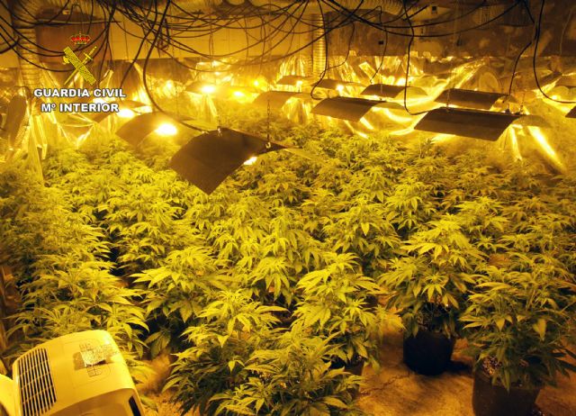 La Guardia Civil desmantela un invernadero de marihuana en una nave industrial - 1, Foto 1
