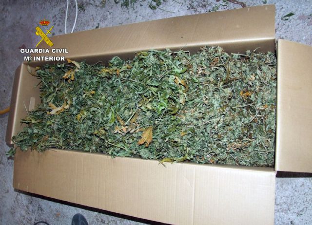 La Guardia Civil desmantela un invernadero de marihuana en una nave industrial - 3, Foto 3