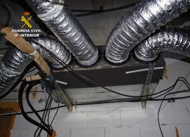 La Guardia Civil desmantela un invernadero de marihuana en una nave industrial - 5, Foto 5