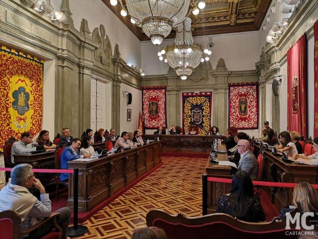 MC reprueba la gestión de Castejón, espejo de todos los vicios del PP - 2, Foto 2