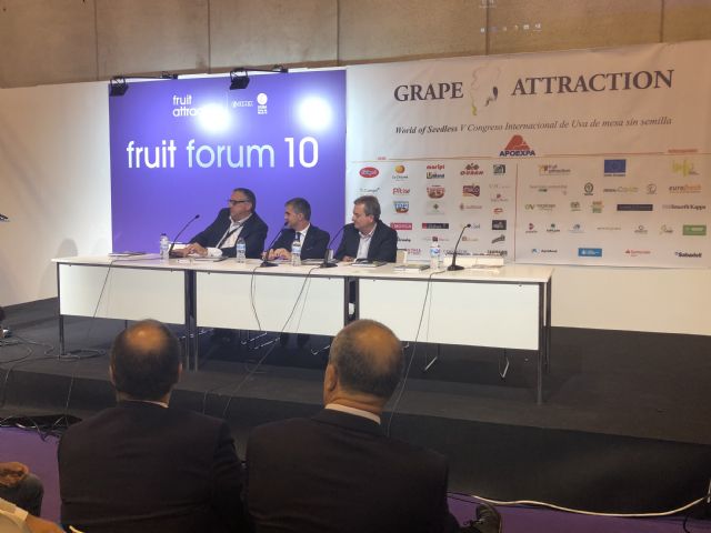 La Región presenta la variedad número 17 de uva de mesa sin pepita en el V Congreso 'Grape Attraction' - 2, Foto 2