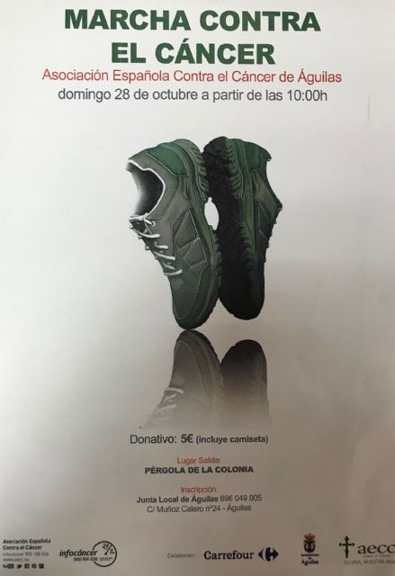 La Junta Local de la AECC se pone en marcha contra el cáncer - 1, Foto 1