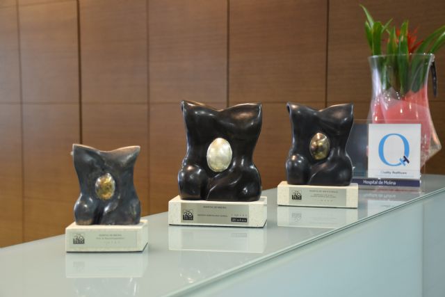 El Hospital de Molina, Premio TOP 20 en Gestión Hospitalaria Global - 1, Foto 1