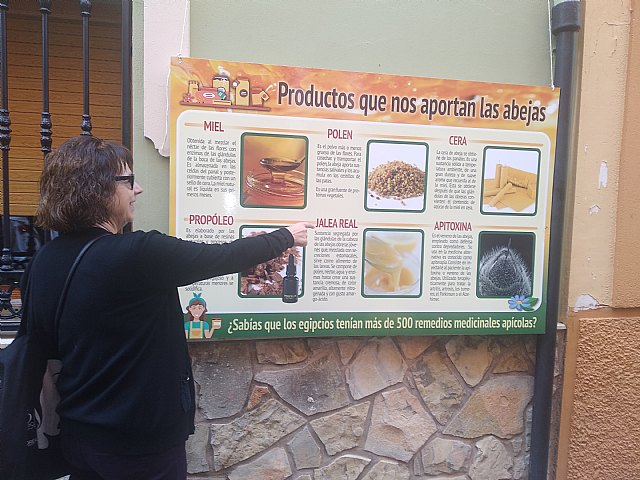 Los beneficios de la miel para la salud de las personas mayores - 3, Foto 3