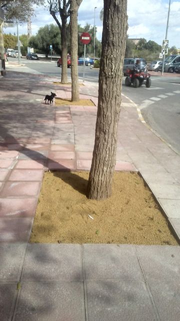 Acometen obras de construcción de un vado peatonal en la calle Santomera, esquina con calle Pliego, Foto 6