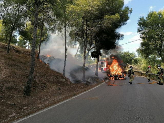 Incendio de un vehículo en las proximidades de zona forestal en La Alberca - 1, Foto 1