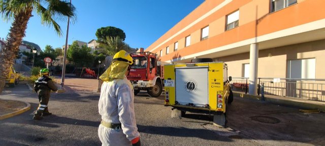 Actuaciones de desinfección en Villanueva del Río Segura - 1, Foto 1