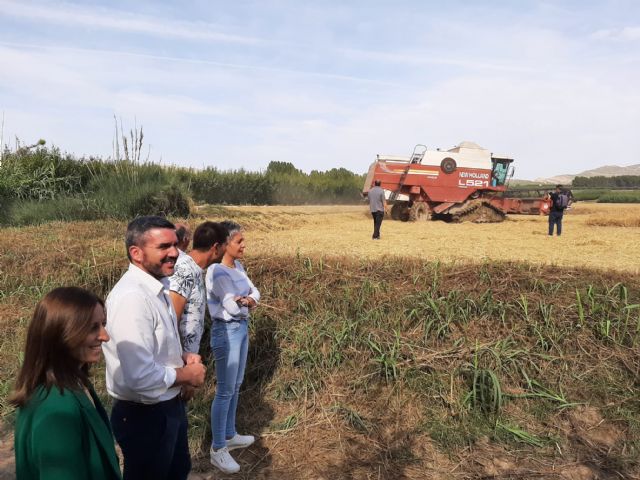 El 20 por ciento de la producción de arroz de Calasparra se destina a la exportación y Estados Unidos es el principal destino - 1, Foto 1