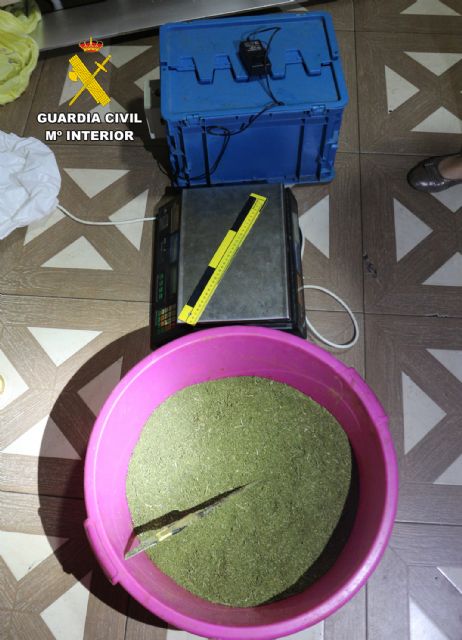 La Guardia Civil desmantela en Alguazas un punto de manipulación y distribución de marihuana - 3, Foto 3