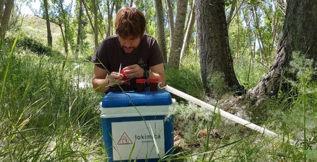No, no nació bajo tierra en nuestras ciudades - 1, Foto 1