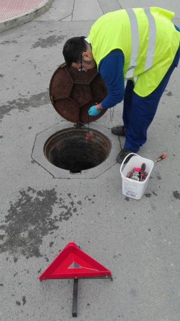 El Ayuntamiento inicia una campaña de desratización en todo el término municipal - 1, Foto 1