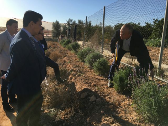 El consejero de Agricultura, Francisco Jódar  visita El Mirador para conocer in situ el adelanto de algunas medidas recogidas en el decreto  ley sobre sostenibilidad ambiental en el entorno del Mar Menor - 2, Foto 2