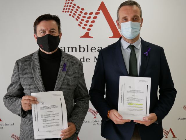 PP y Ciudadanos piden un refuerzo e impulso a las medidas para atajar la violencia de género y reforzar la protección a las víctimas - 1, Foto 1