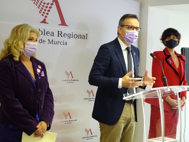 El PSOE presenta una proposición de ley para la prevención, detección, atención y erradicación de las violencias machistas - 1, Foto 1