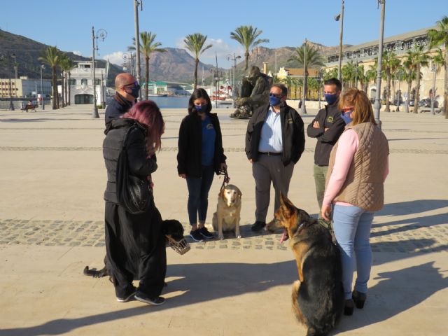 Hidrogea colabora en la terapia con perros para la recuperación psicológica de víctimas de violencia de género - 1, Foto 1
