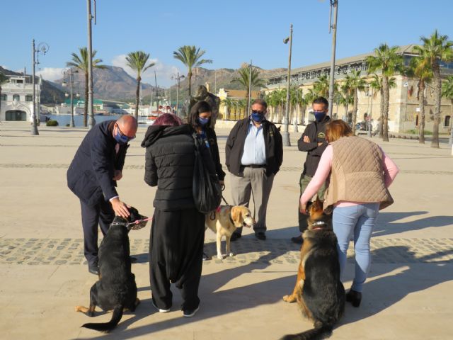 Hidrogea colabora en la terapia con perros para la recuperación psicológica de víctimas de violencia de género - 3, Foto 3