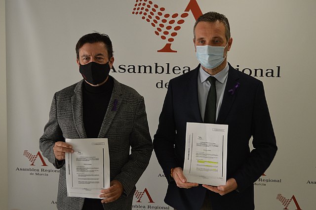 Ciudadanos y PP piden un refuerzo e impulso a las medidas para atajar la violencia de género y reforzar la protección a las víctimas - 1, Foto 1