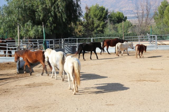 Alhama fomenta el empoderamiento de las mujeres a travs del proyecto Valkiria, Foto 2