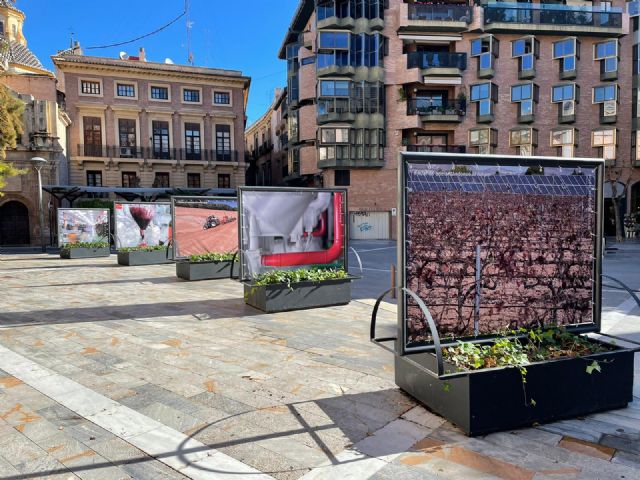 40 años del Colegio de Ingenieros Agrónomos en la Plaza Julián Romea - 3, Foto 3