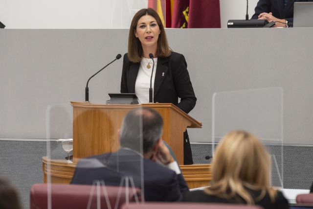 Ruiz Jódar: El objetivo del PSRM es utilizar políticamente la lucha contra la violencia de género, aunque para ello usen el dolor de las mujeres - 1, Foto 1