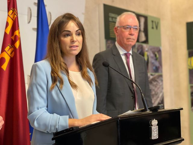 El PP propone que los partidos de todos los grupos de la Corporación presenten en el Senado enmiendas a los PGE para ampliar el tranvía - 1, Foto 1