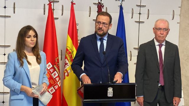 El PP presenta una moción para evitar la tala de 287 árboles en Murcia y volver a poner en funcionamiento el Plan Foresta - 1, Foto 1