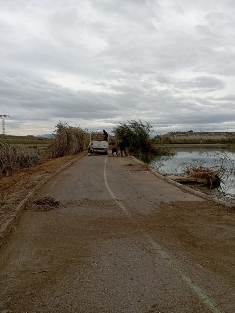 La Brigada Municipal Ecológica-Forestal de Molina de Segura lleva a cabo trabajos de mantenimiento y mejora en el espacio protegido de la ZEPA de Las Lagunas de Campotéjar-Salar Gordo - 1, Foto 1