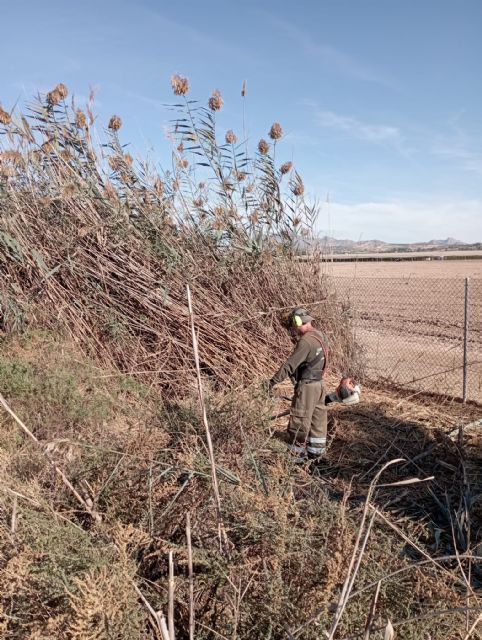 La Brigada Municipal Ecológica-Forestal de Molina de Segura lleva a cabo trabajos de mantenimiento y mejora en el espacio protegido de la ZEPA de Las Lagunas de Campotéjar-Salar Gordo - 2, Foto 2