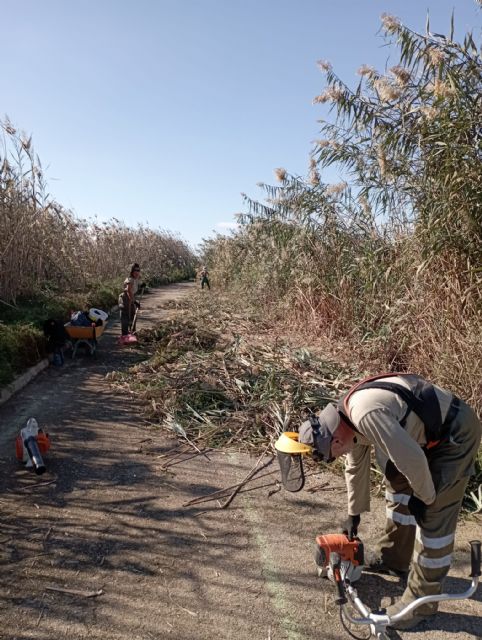 La Brigada Municipal Ecológica-Forestal de Molina de Segura lleva a cabo trabajos de mantenimiento y mejora en el espacio protegido de la ZEPA de Las Lagunas de Campotéjar-Salar Gordo - 3, Foto 3
