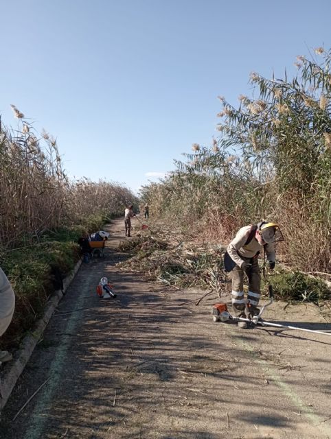 La Brigada Municipal Ecológica-Forestal de Molina de Segura lleva a cabo trabajos de mantenimiento y mejora en el espacio protegido de la ZEPA de Las Lagunas de Campotéjar-Salar Gordo - 4, Foto 4