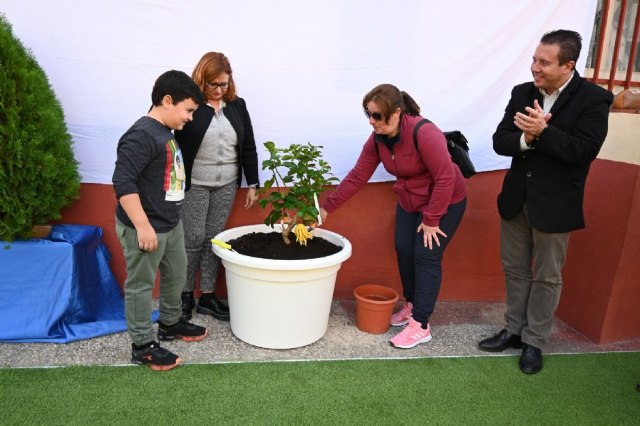 El CEIP FLORENTINO BAYONA de Mula dedica una jornada a Leticia Díaz Romero y organiza una carrera solidaria por las Lipodistrofias - 3, Foto 3