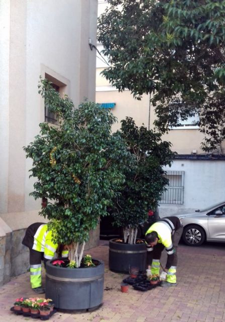 Los jardines de pedanías se llenan de colores en Navidad con más de 9.000 flores - 2, Foto 2