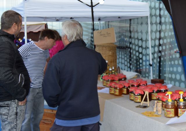 La Navidad torreña disfruta de una intensa jornada de música y baile - 2, Foto 2