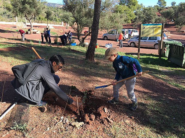 El club senderista de Totana organizó un año más el Día del Árbol, Foto 6