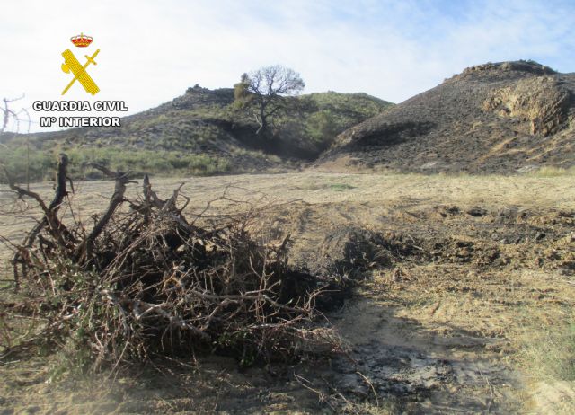 La Guardia Civil investiga al presunto autor de un incendio forestal en Lorca - 3, Foto 3