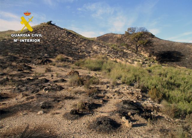 La Guardia Civil investiga al presunto autor de un incendio forestal en Lorca - 4, Foto 4