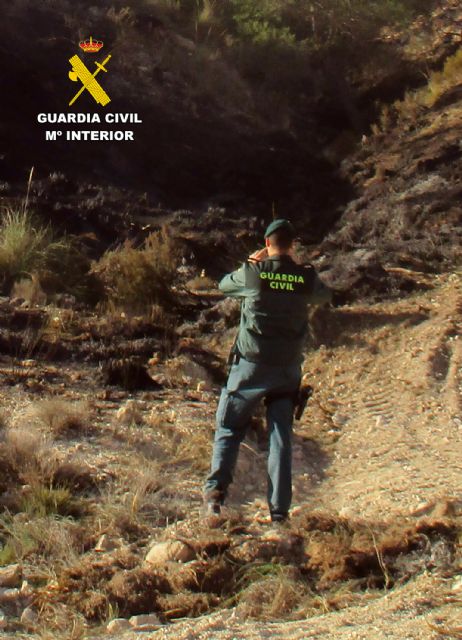 La Guardia Civil investiga al presunto autor de un incendio forestal en Lorca - 5, Foto 5