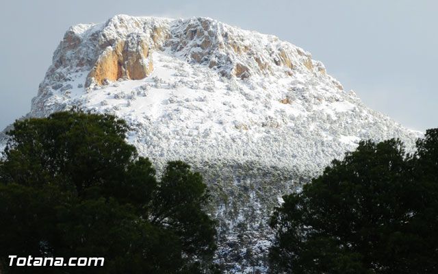 FAPEN denuncia que Medio Ambiente no le entrega la documentación sobre los espacios naturales, Foto 1